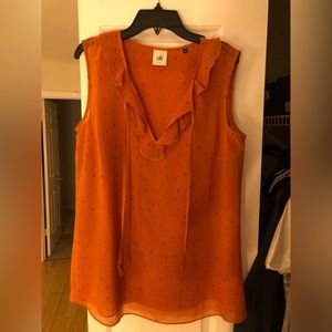 Cabi blouse.